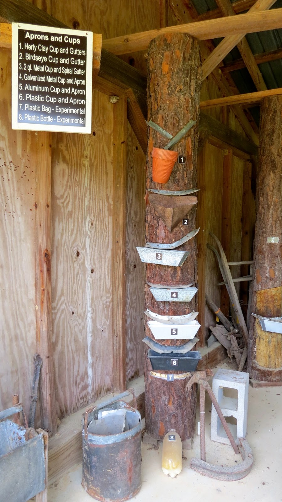 Our Nature Turpentine History Display at Coffee State Park