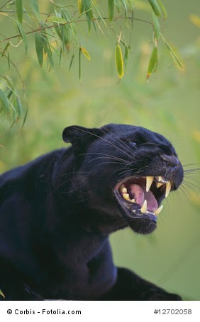 Potenzial Leben September 2014