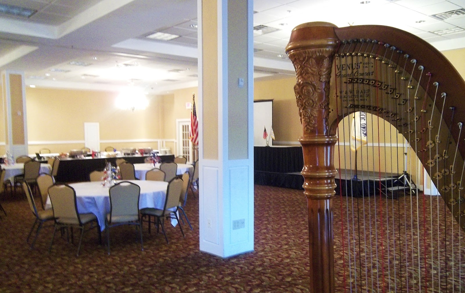 The Classic Harpist Quincy Harpist Reception at the Town and Country