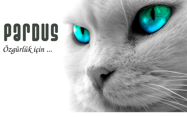 Yerli işletim sistemimiz Pardus Tam Bir Site Film izle,Oyun indir