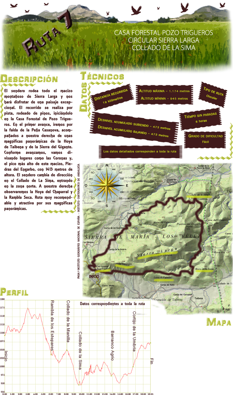 Ruta 7: Descripcion y datos tecnicos