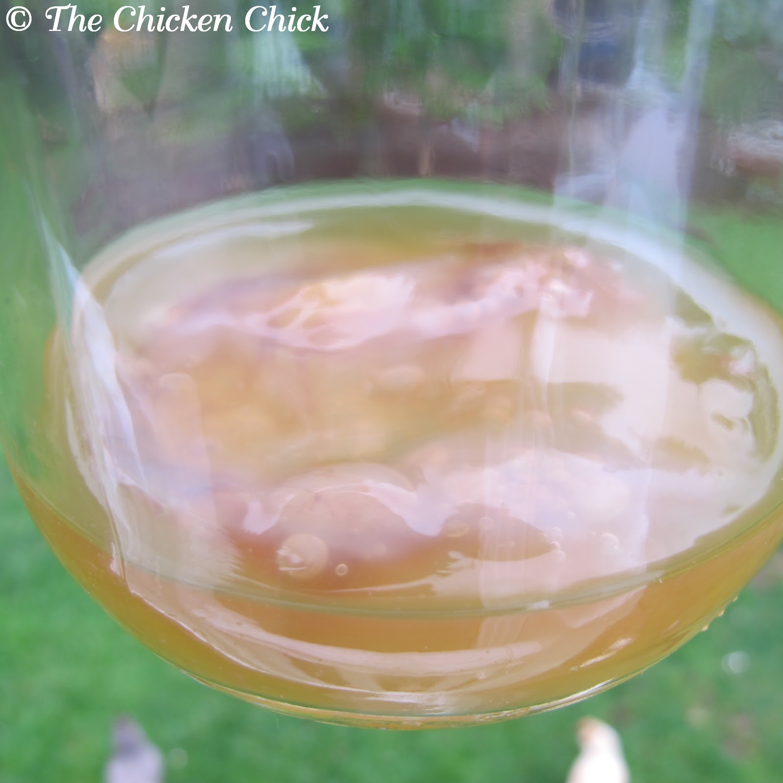 Make Raw Apple Cider Vinegar (ACV) with the Mother for pennies a gallon