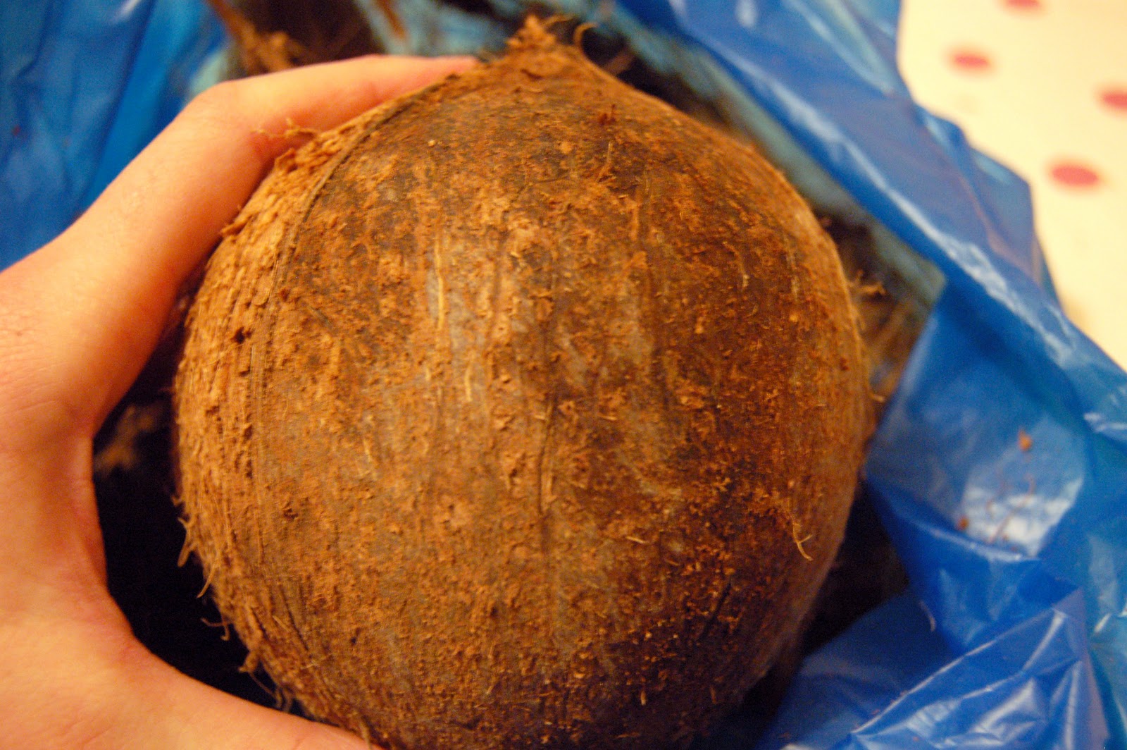 Paper Yak How to make a Coconut Bra [Photo Heavy]