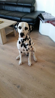 Baxter