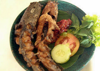 manfaat ikan lele