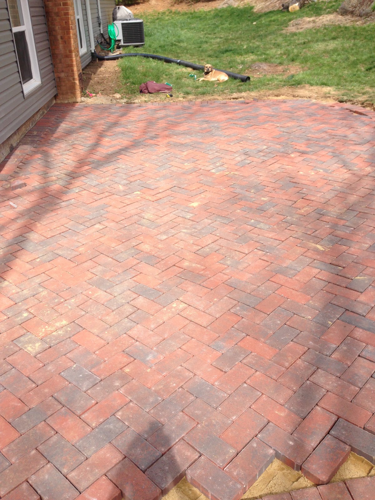Newlywed Nesters: DIY Paver Patio
