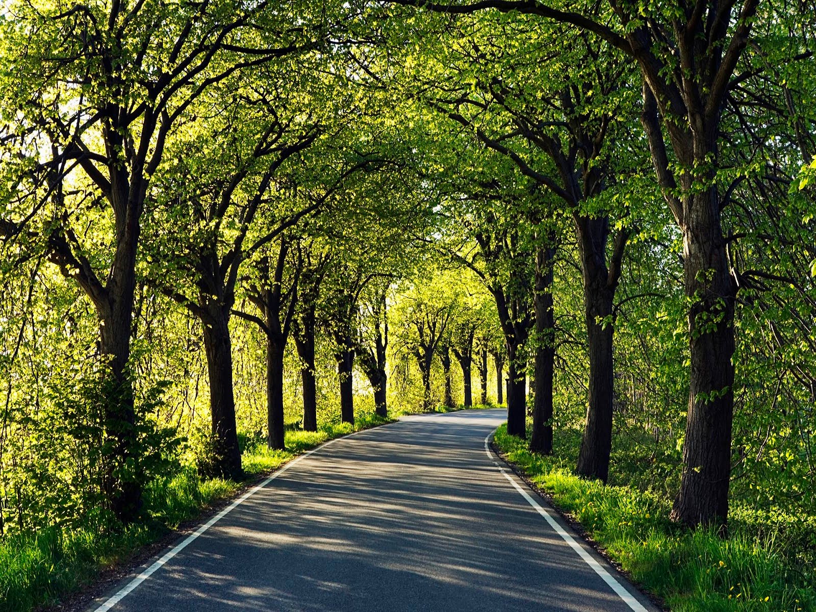 Beautiful Country Germany Wallpapers HD ~ Top Best HD Wallpapers for