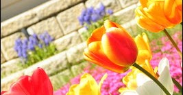 Vivid Imagination And Sweet Memories-A Poem