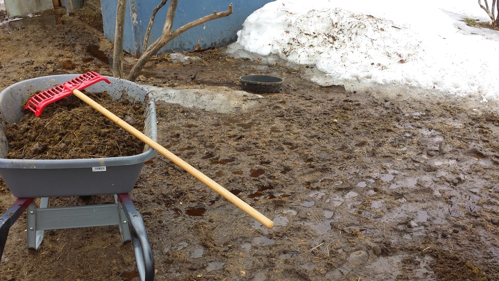My Miniature Donkeys Hay Feeder Addendum