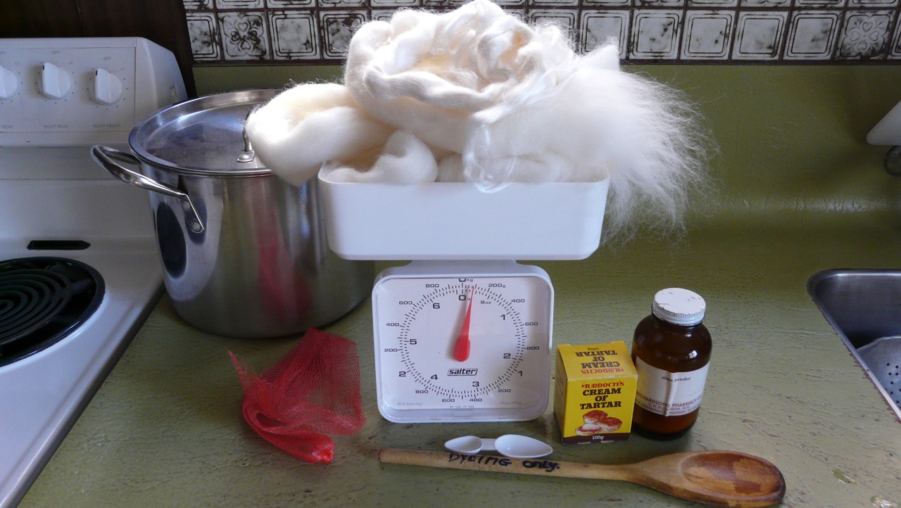 Elmtree How to dye wool using plant material and alum.