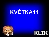 KVĚTKA11