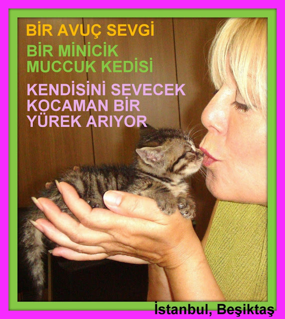 POLİMER KİL POLYMER CLAY ÇOK ŞEKER BİR MUCCUK KEDİSİ.