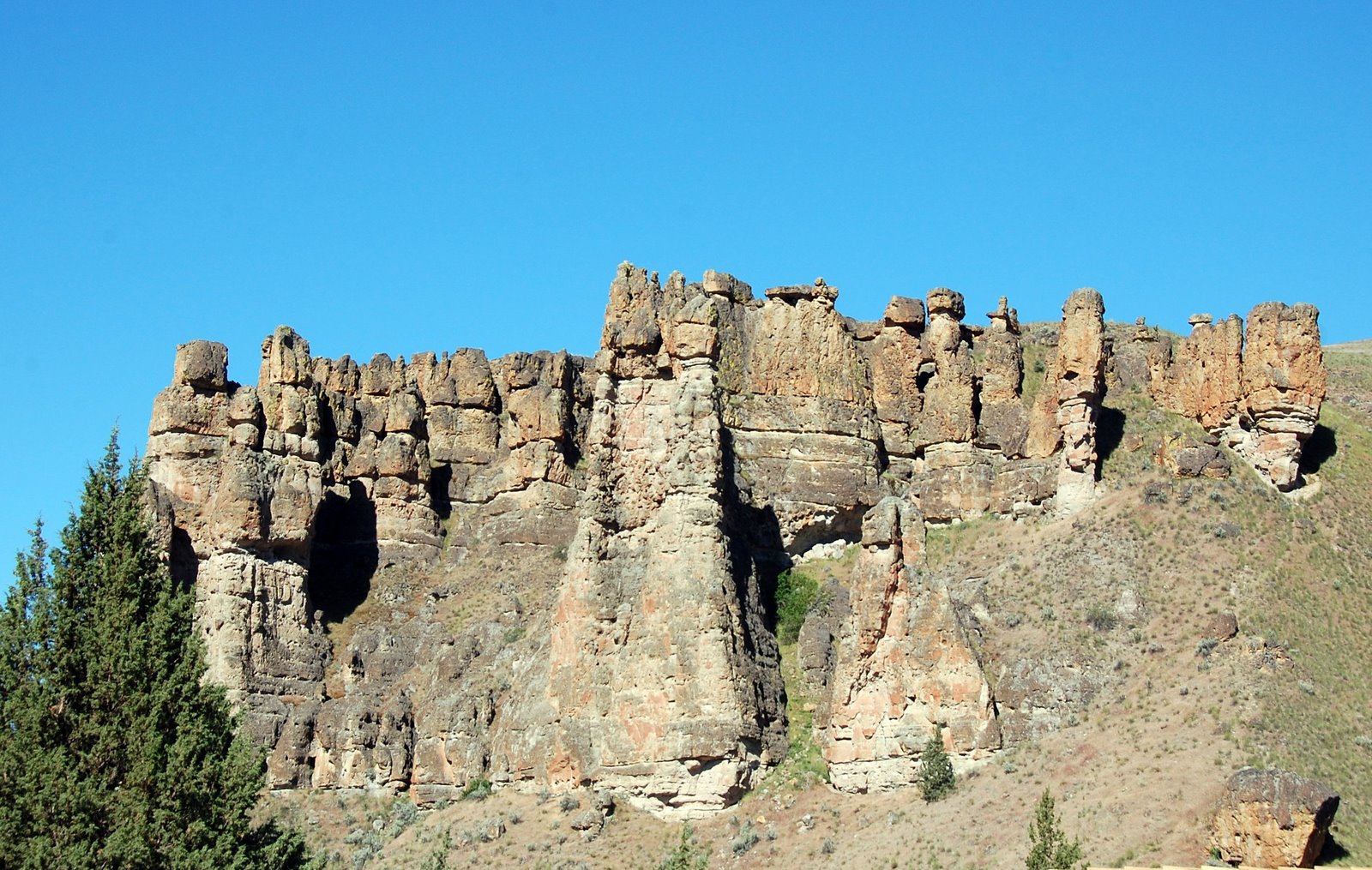 Q on holiday John Day Fossil Beds Clarno Unit