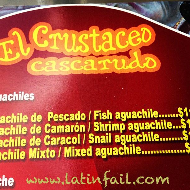 www.latinfail.com Foto del Crustaceo Cascarudo real - De Bob Esponja