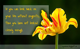 Picture of flower with the following text superimposed: If you can look back on your life without regrets, then you have not looked closely enough. | Wynn Anne's Meanderings