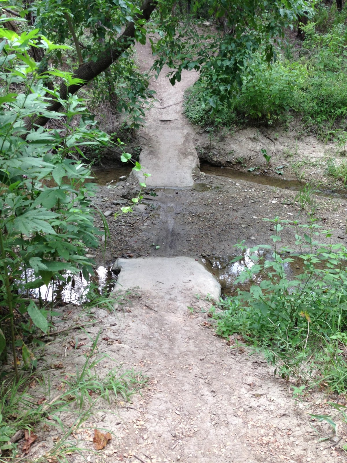 The Roaming Itinerant Woodway Park (Waco, TX)