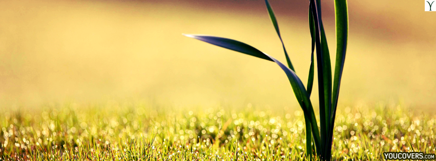 free fb cover photos
