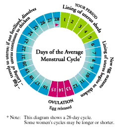 bleeding after menstrual cycle