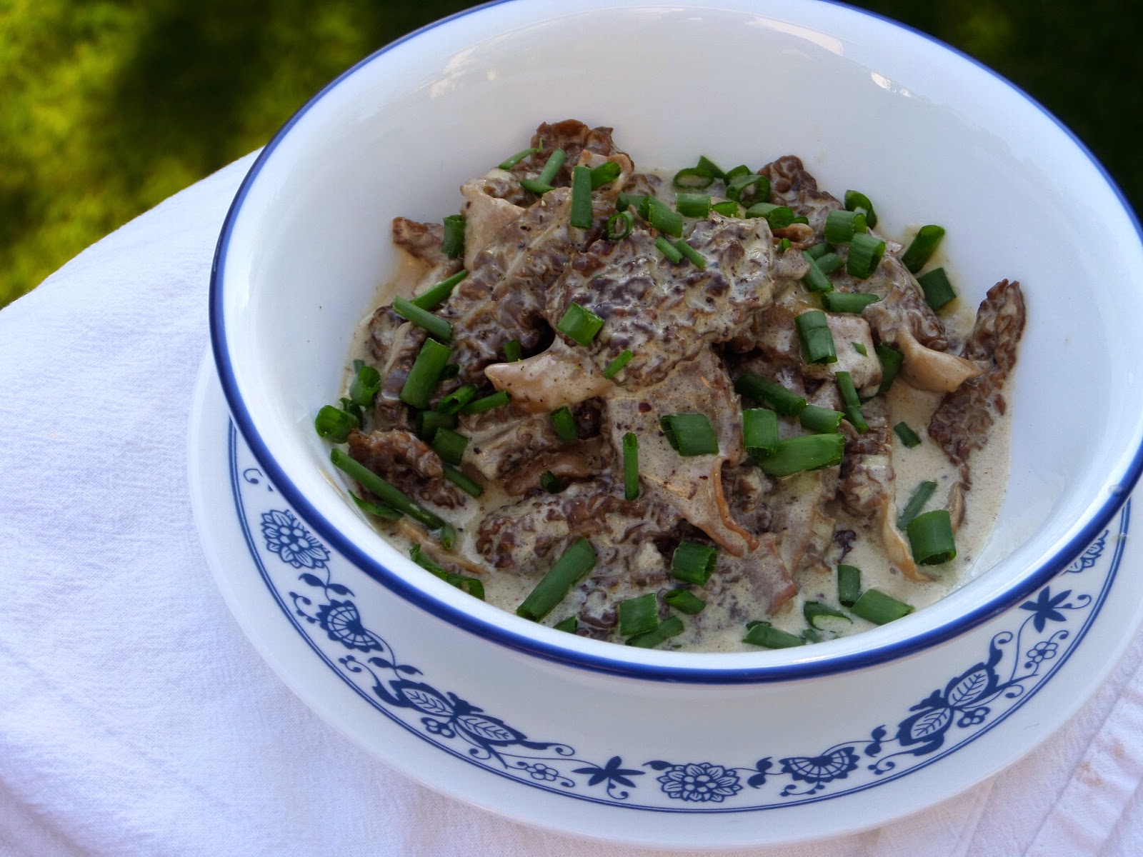 Becki Melvie Foraging 101 {How to Hunt for Morel Mushrooms}