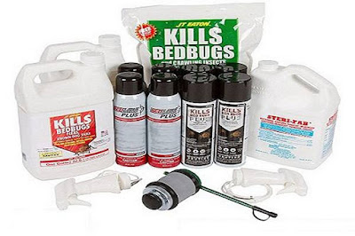 Why Bed Bugs Bite Only Certain People Why Bed Bugs Bite Only Certain People