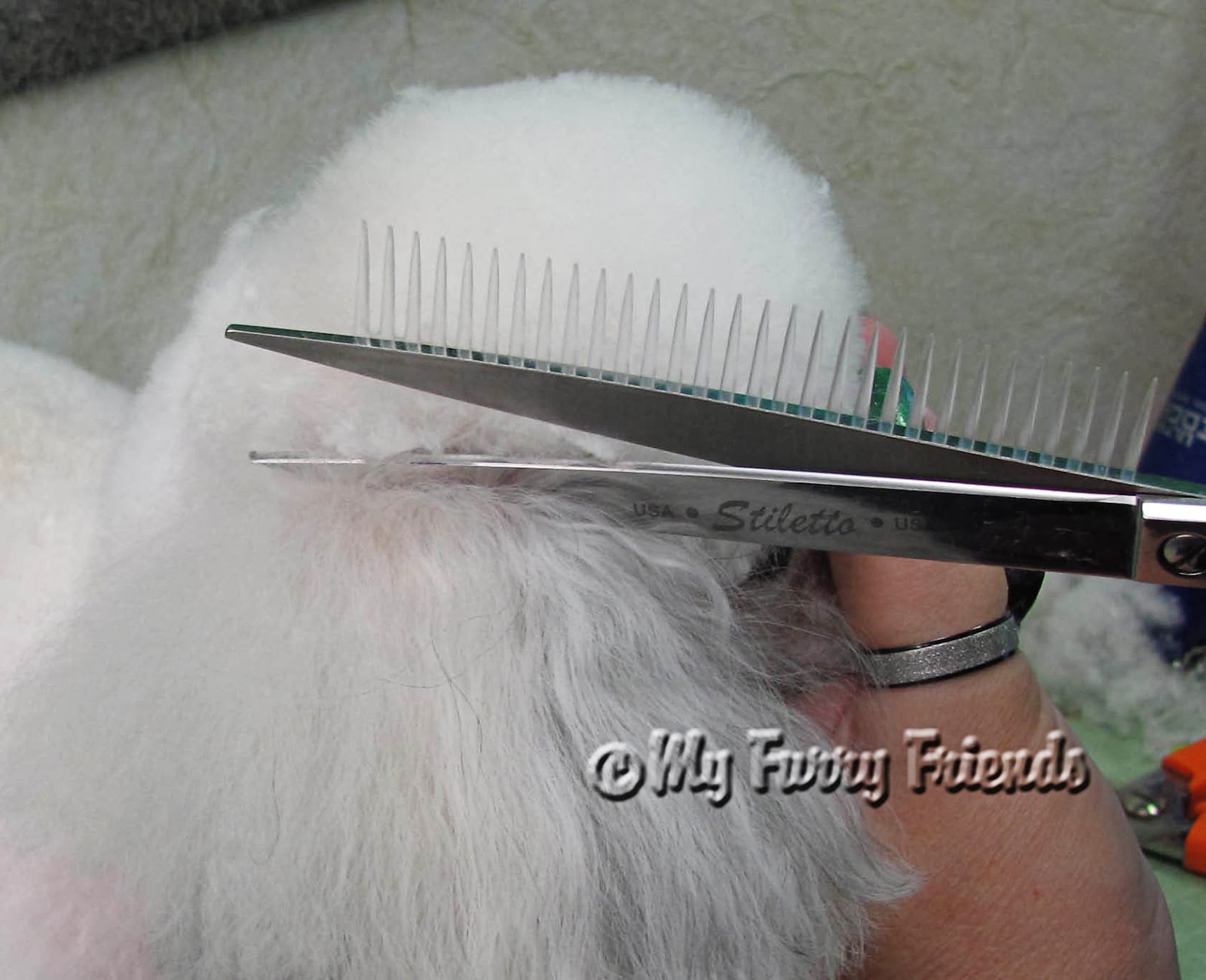 Pet Grooming The Good, The Bad, & The Furry Product Review...Scissor Comb