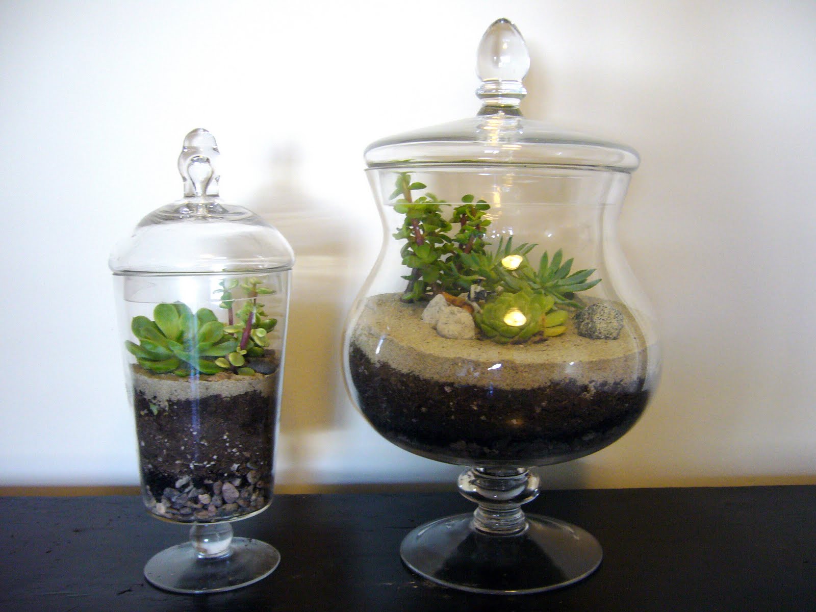 renew.refresh.feather(your)nest Terrific Terrariums! An Ecosystem in a