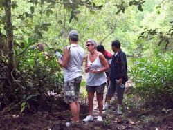 Jelajah Mangrove