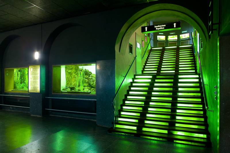 Hollywood Ruft 7 Filmreife Locations Fur Ihr Firmenevent