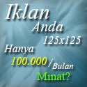 BISNIS PULSA