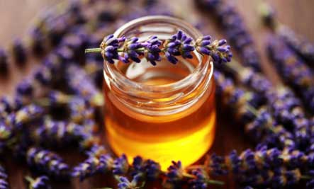 Honey And Lavender