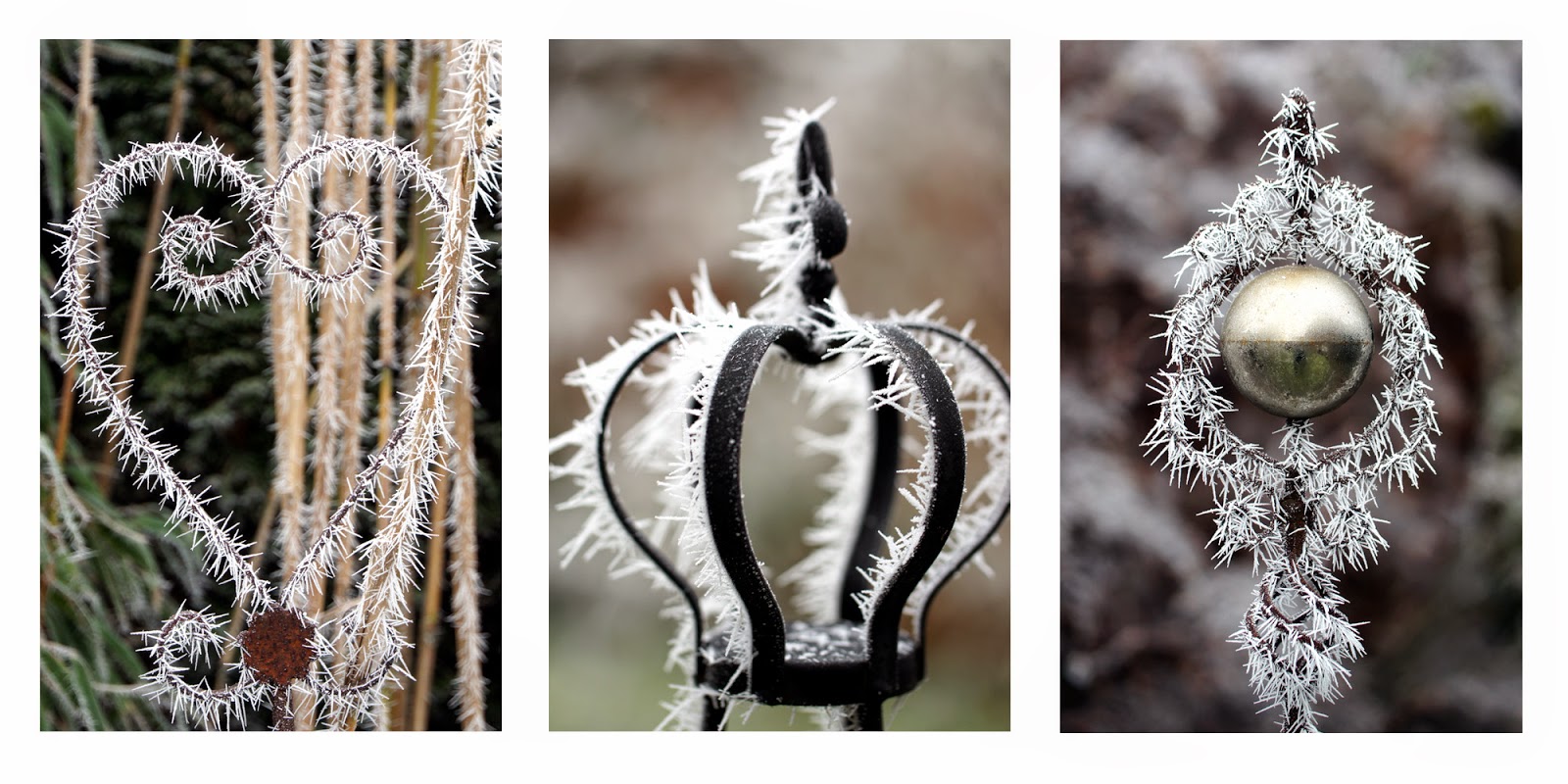 Entschleunigung Im Bezaubernden Maasholm