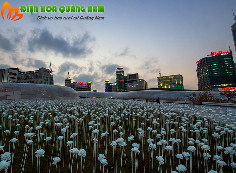 [Image: Kham-pha-vuon-hoa-hong-den-LED-o-Han-Quoc-5.png]