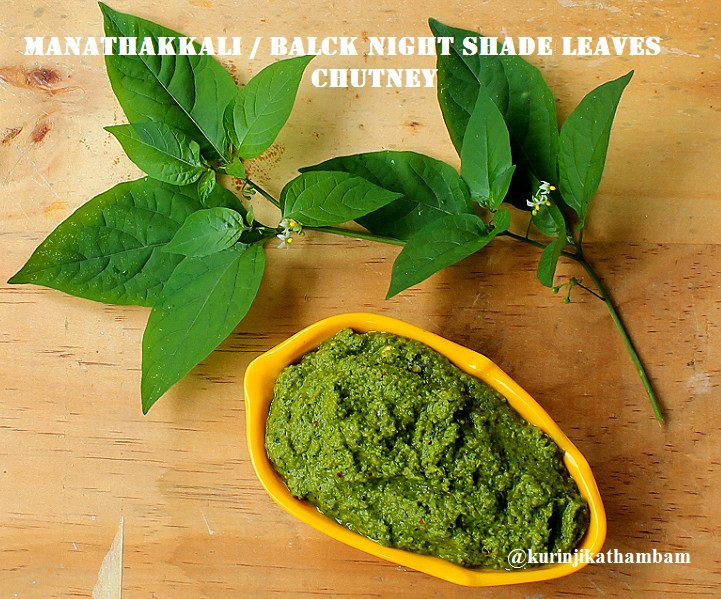Manathakkali Keerai Black Night Shade Sunberry Leaveschutney Kurinji Kathambam