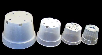 Orchids Care Choose The Right Pot For Your Orchid