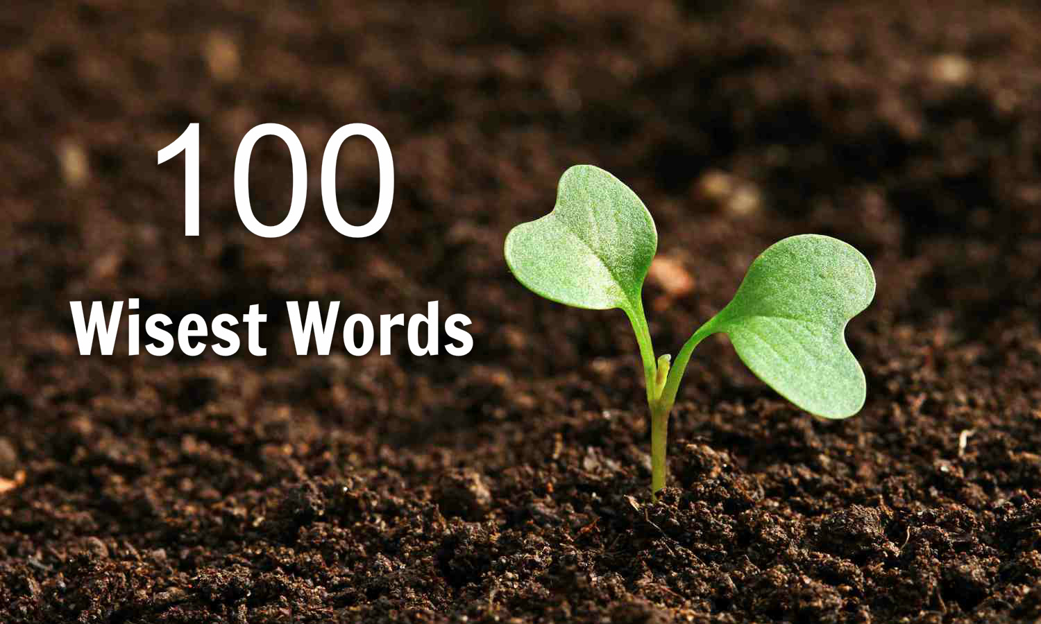 Awesome Quotes 100 Wisest Words