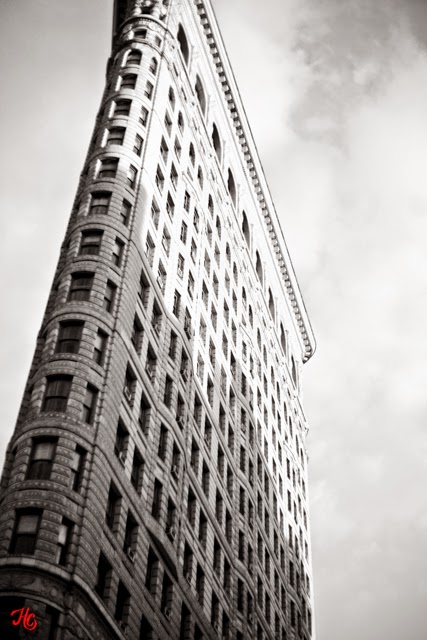 Flatiron Building, Haley Carpenter Photography, NYC