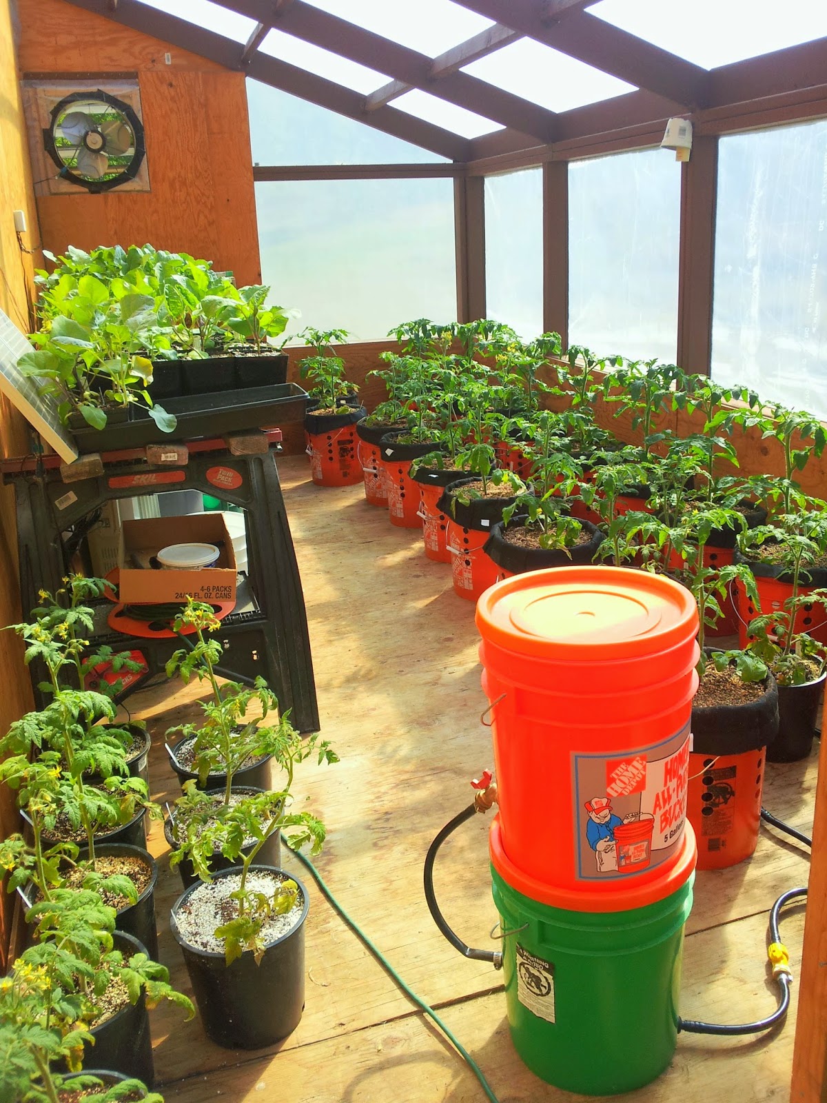 Wasilla Alaska Garden Adventures May Planting Update