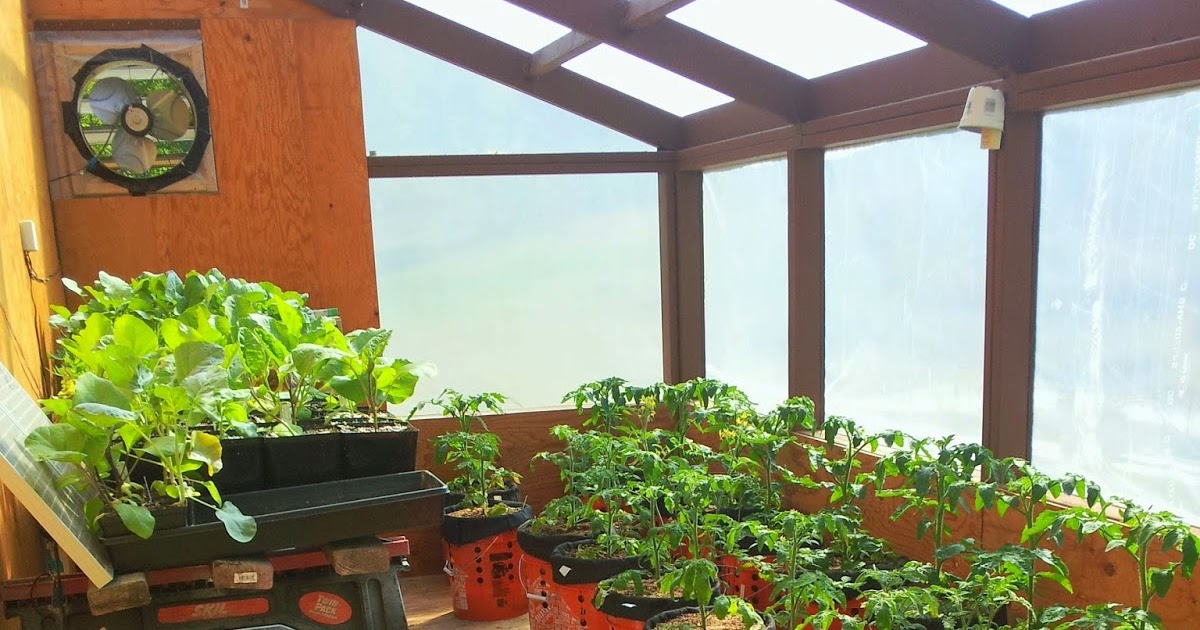 Wasilla Alaska Garden Adventures May Planting Update