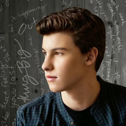 Download lagu shawn mendes