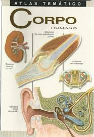 download Towards a Unified Modeling and Knowledge Representation based on Lattice Theory: Computational Intelligence and Soft Computing