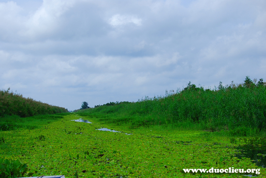 U minh thượng U minh thượng