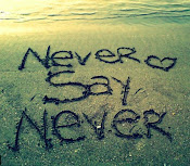 Nunca digas Nunca