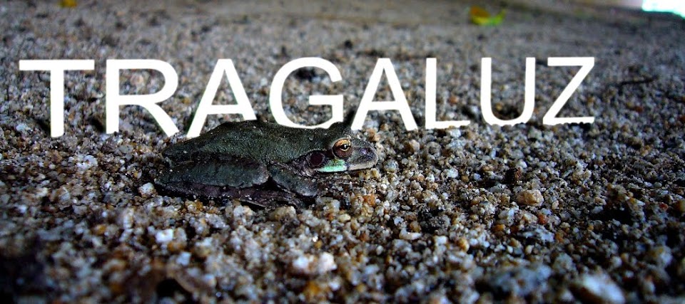 Tragaluz