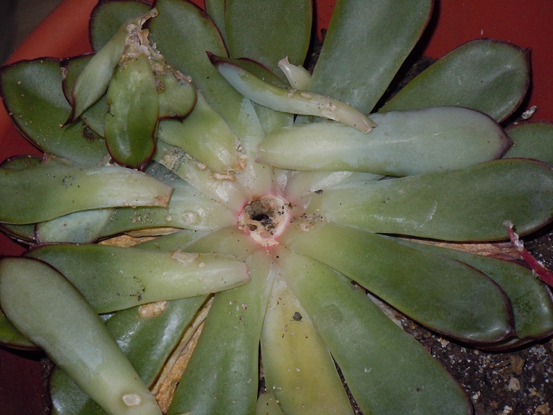 DSCN2594.JPG