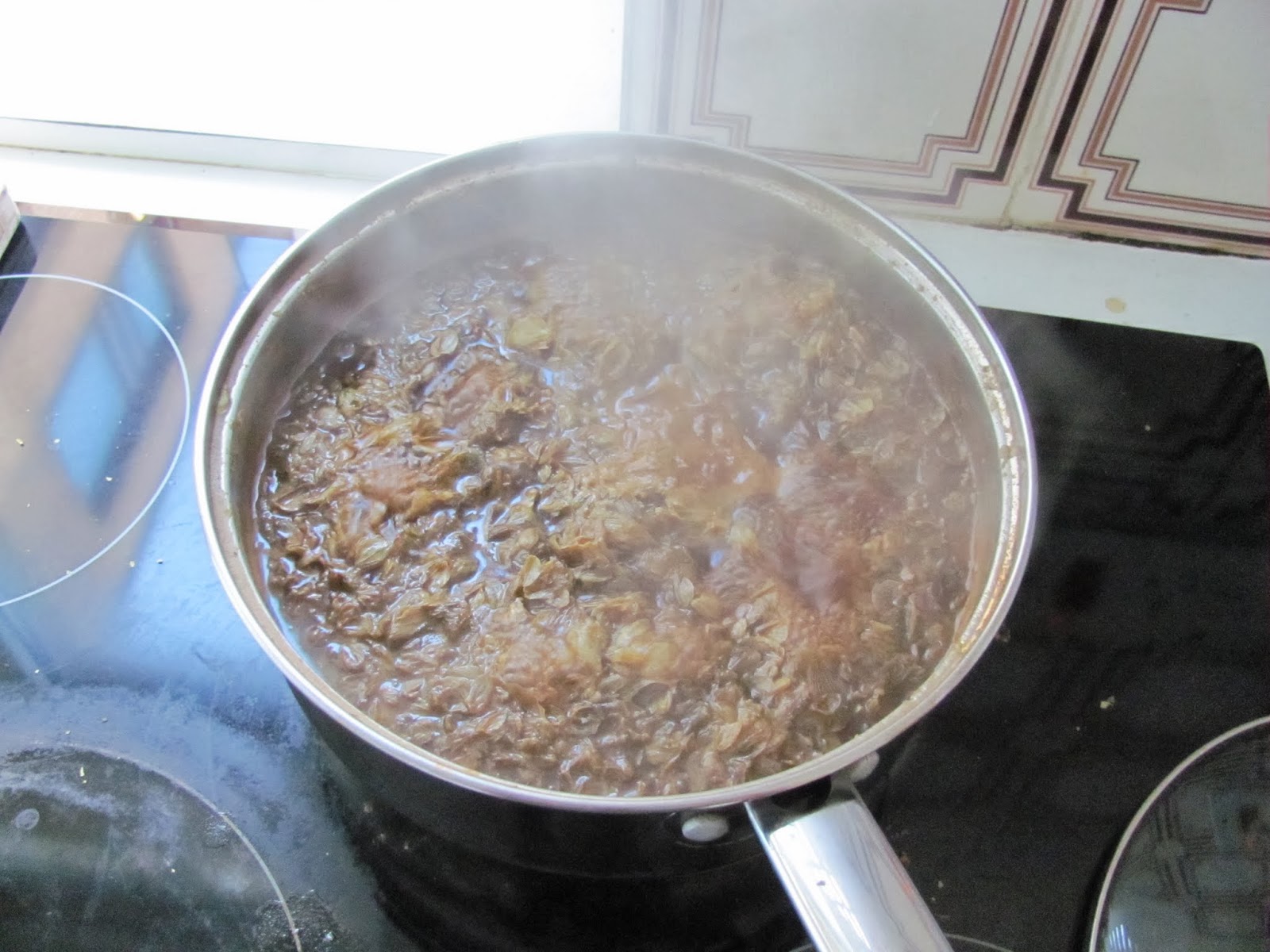 Hop Soup Hops boiling on the stove