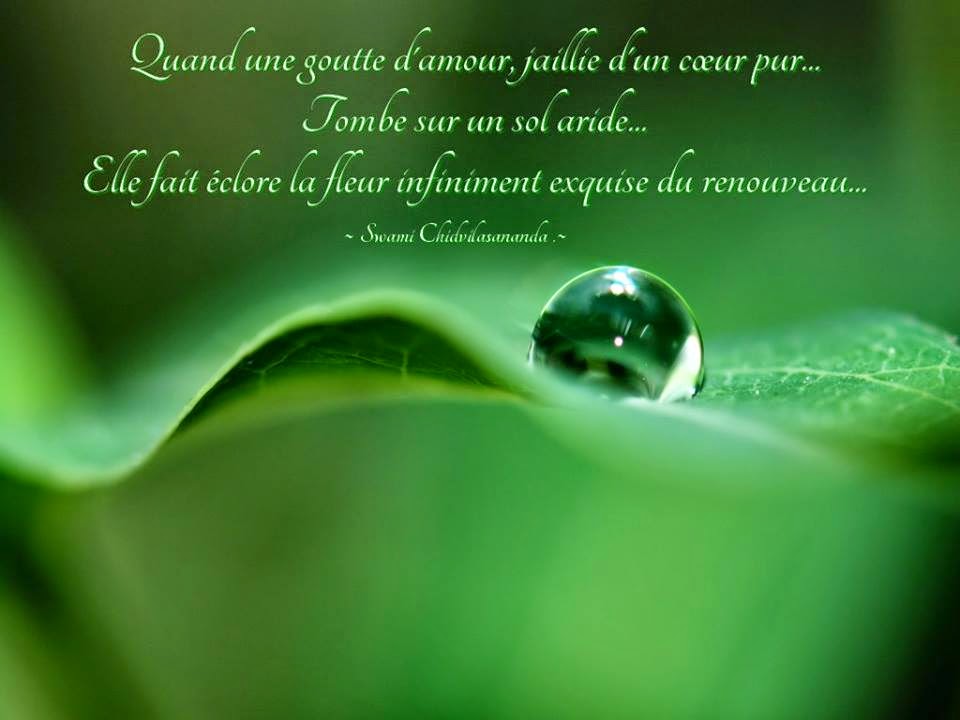 La Page de la Sagesse Une goutte d�amour fait des miracles La Page de la Sagesse Une goutte d�amour fait des miracles