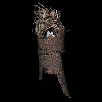 [Image: bird-nests-sharon-beals-01.jpg]