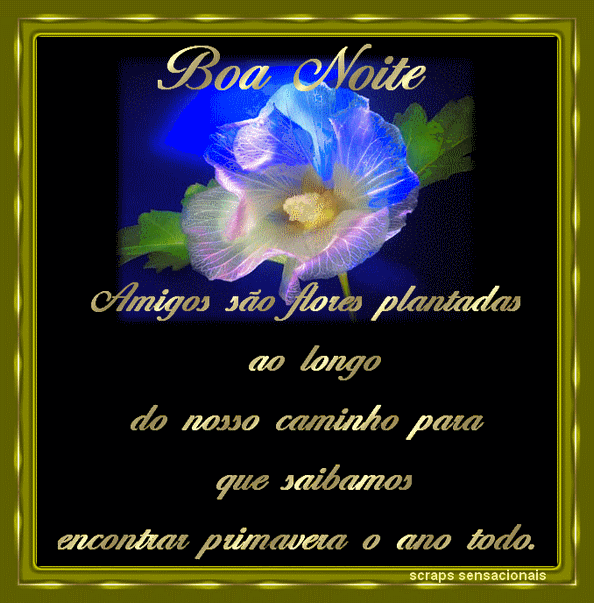 Boa Noite - Imagens, Mensagens e Frases para WhatsApp