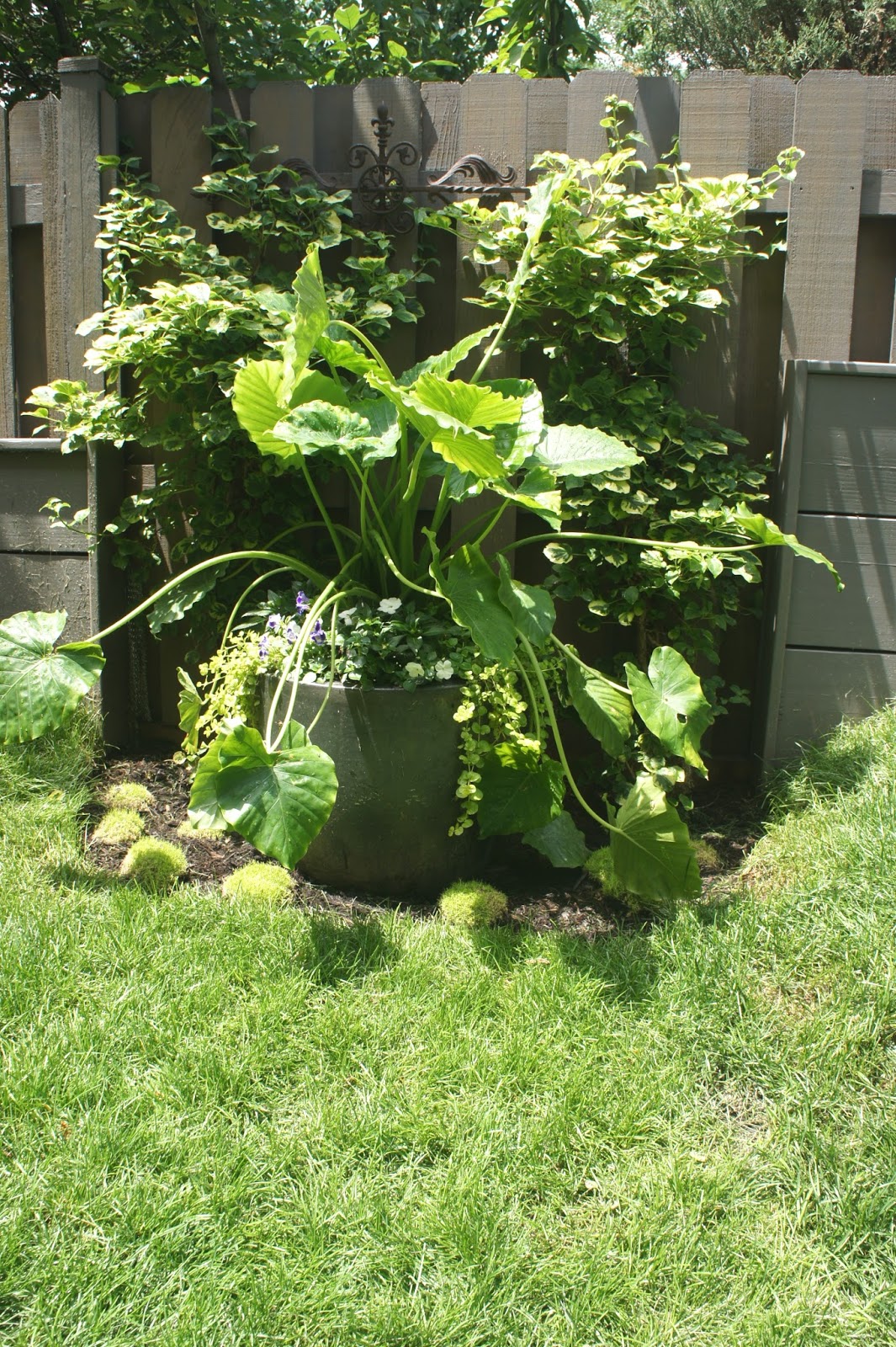 Img 3233 Jpg 1 066 1 600 Pixels Shabby Chic Garden Potting Shed