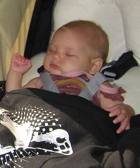 Willow sage hart Willow sage hart